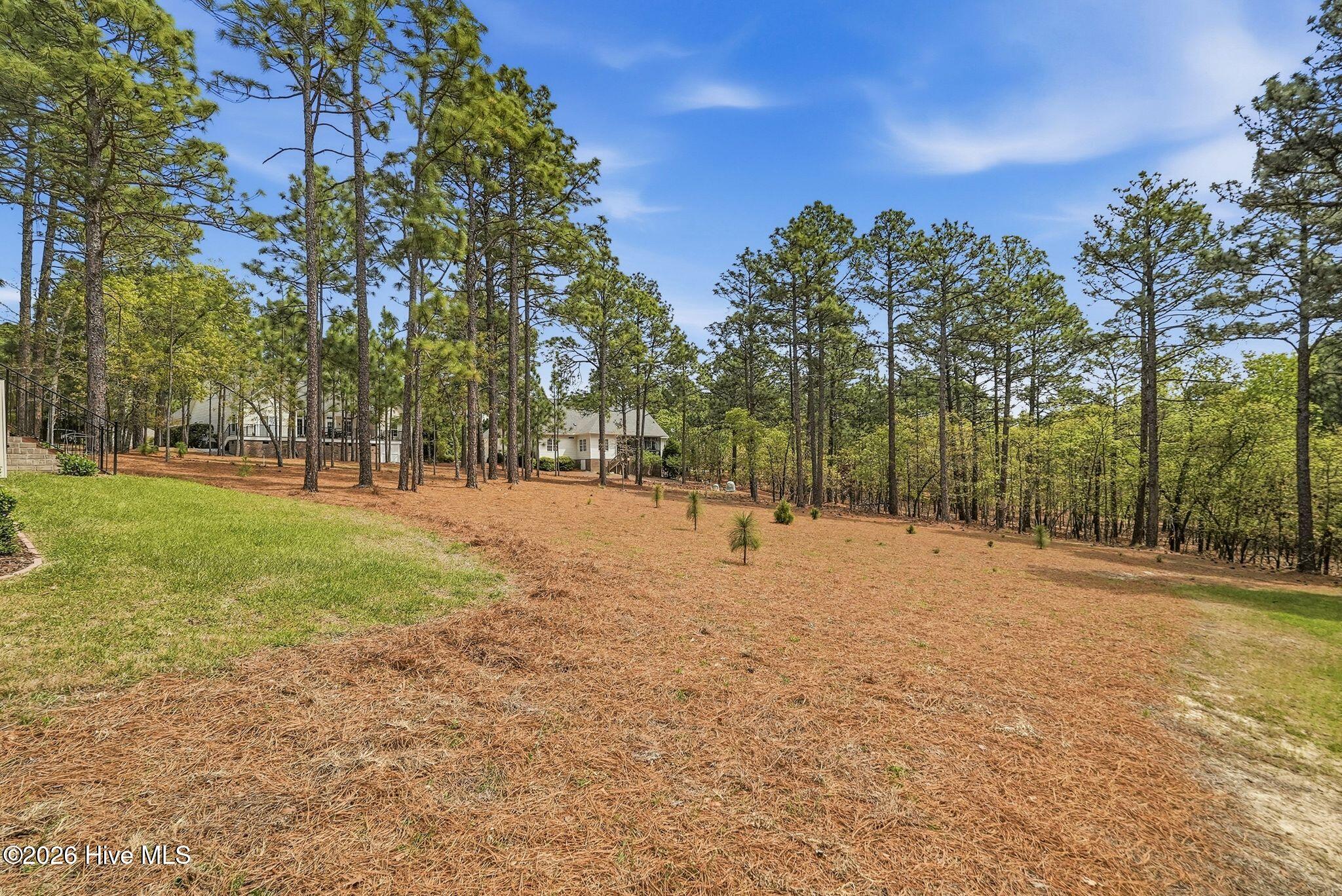 103 Rector Drive