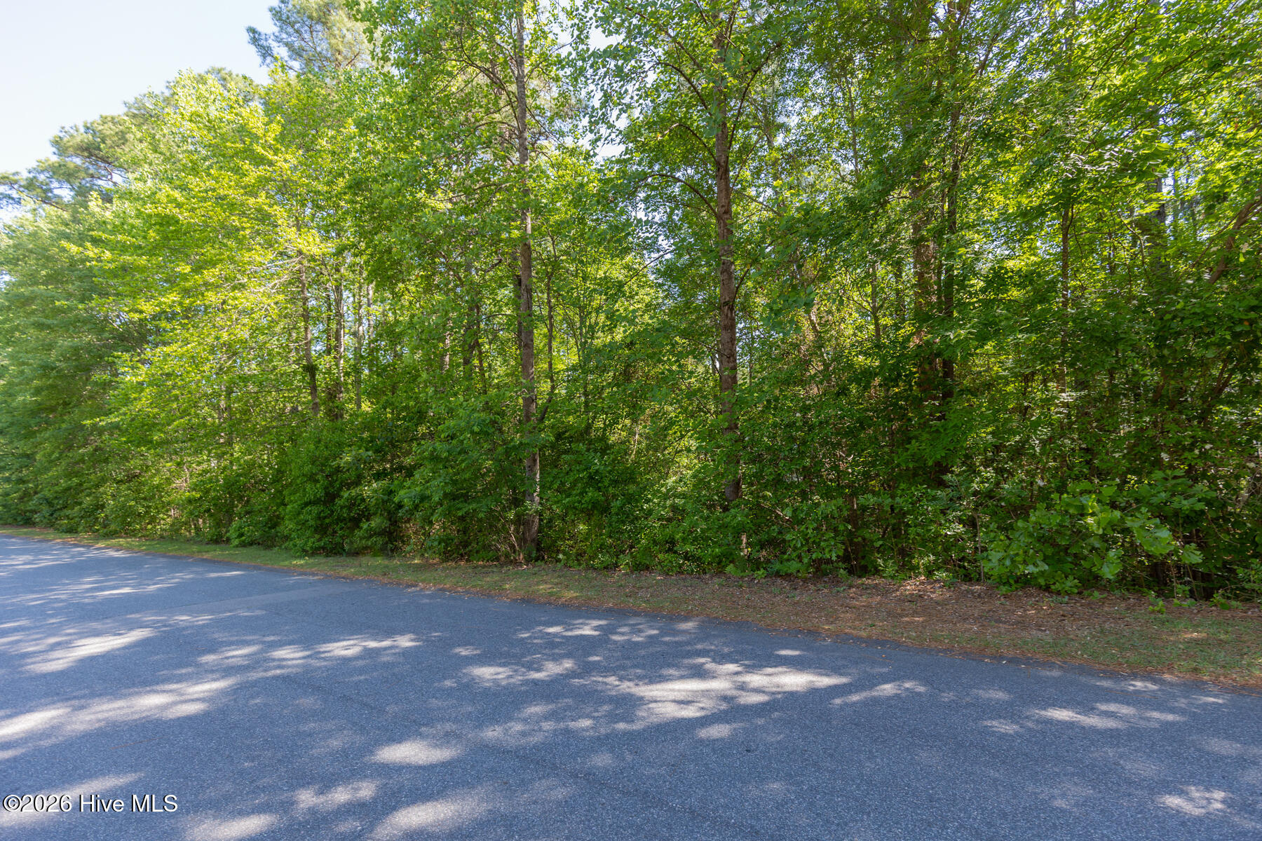 305 Kingswood Circle