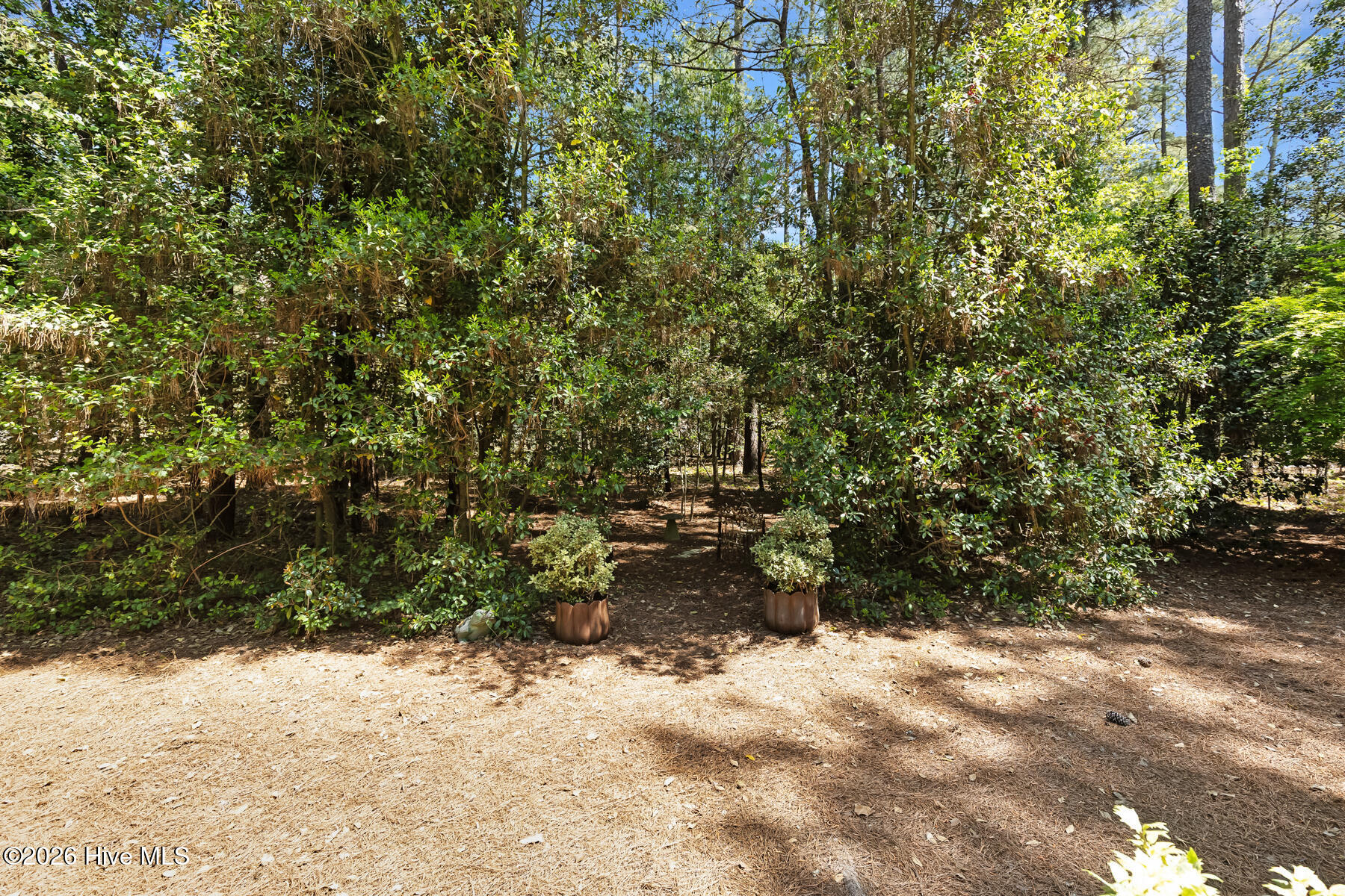 58 Devon Drive