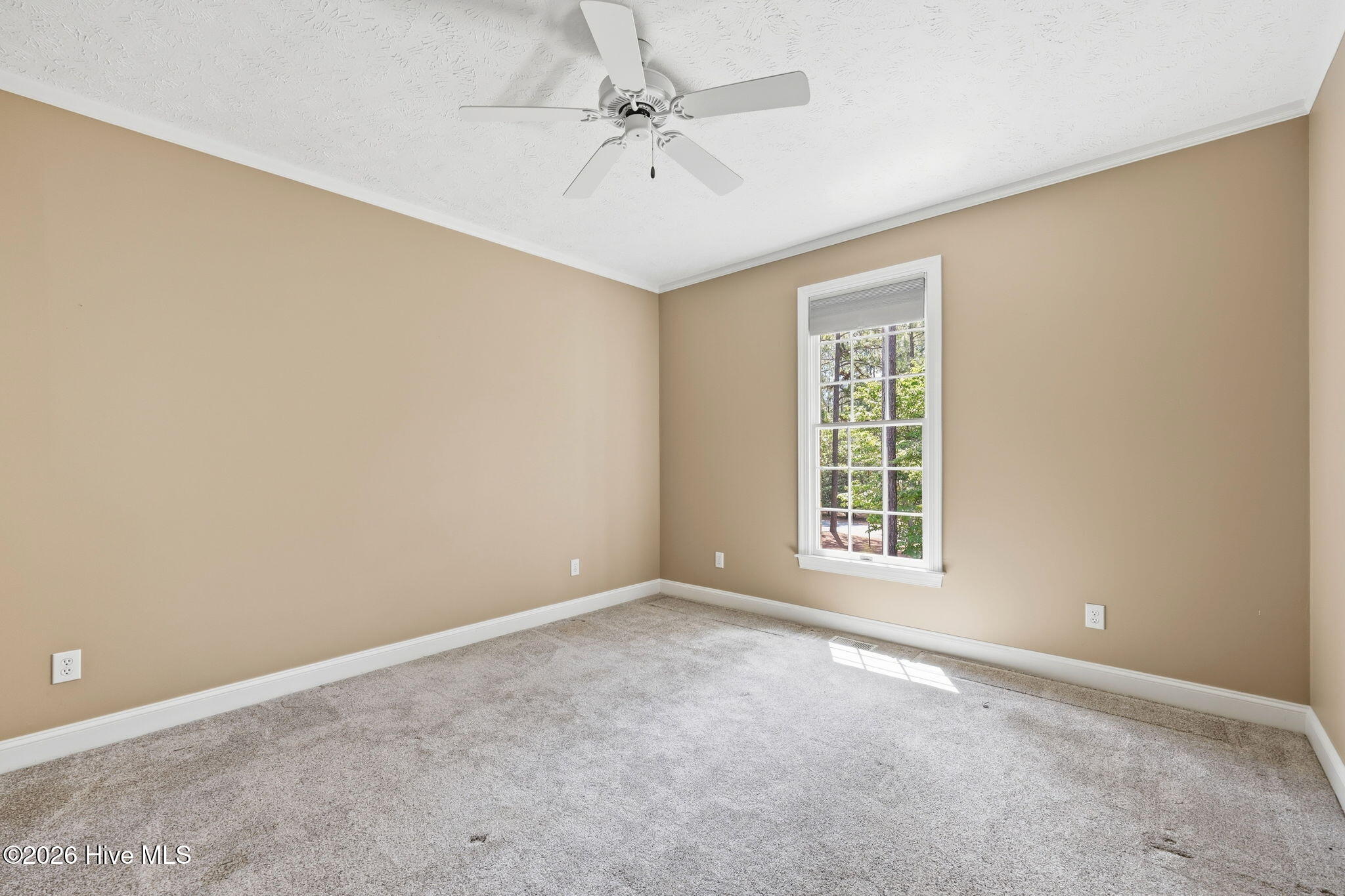 86 Pinewild Drive