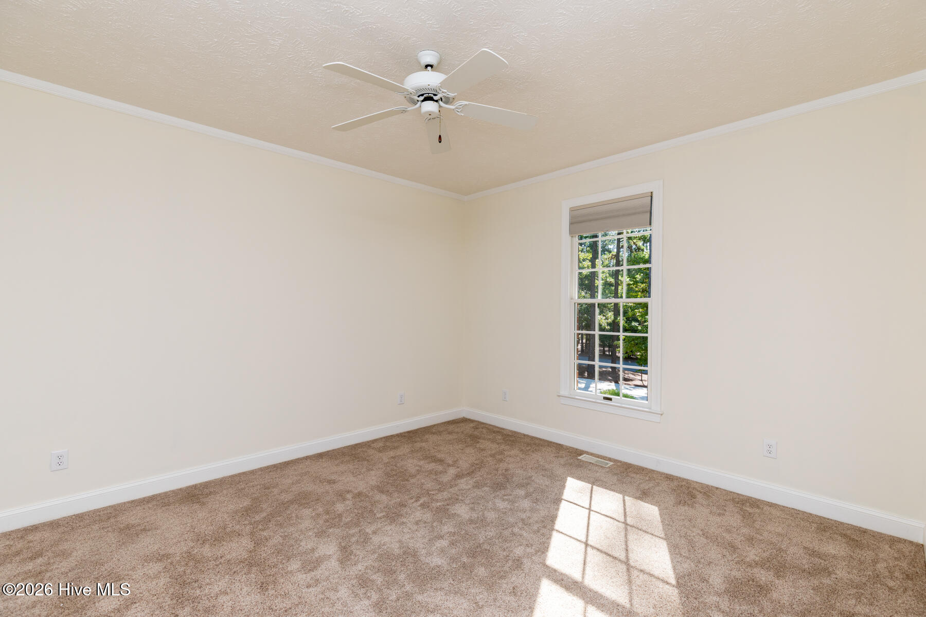 86 Pinewild Drive