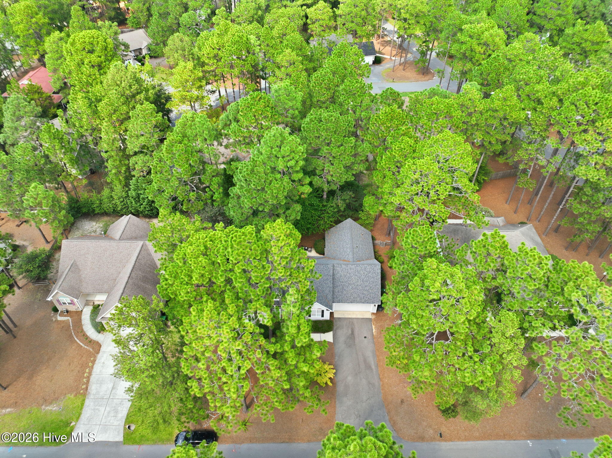 9 Moore Drive