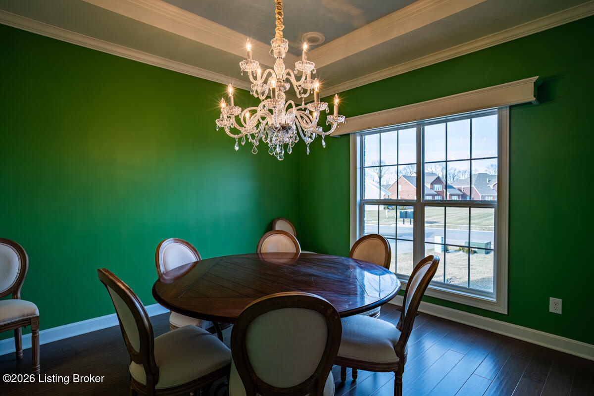 11528 Angel Falls Dr