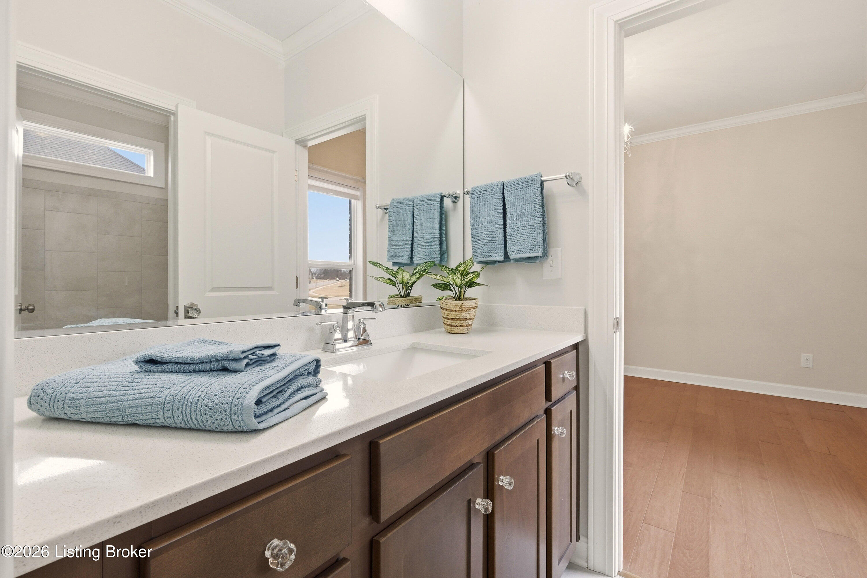 11528 Angel Falls Dr