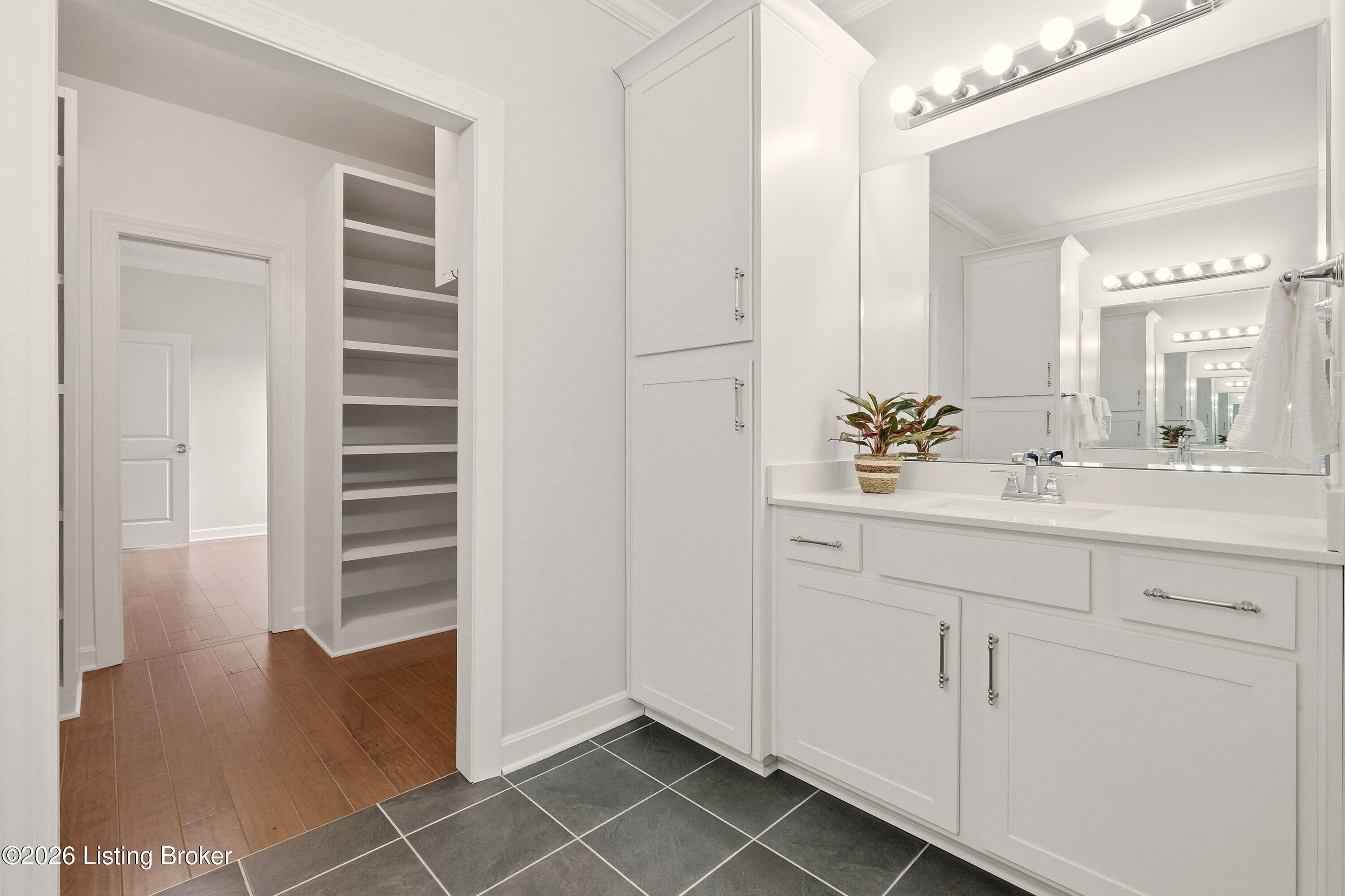 11528 Angel Falls Dr