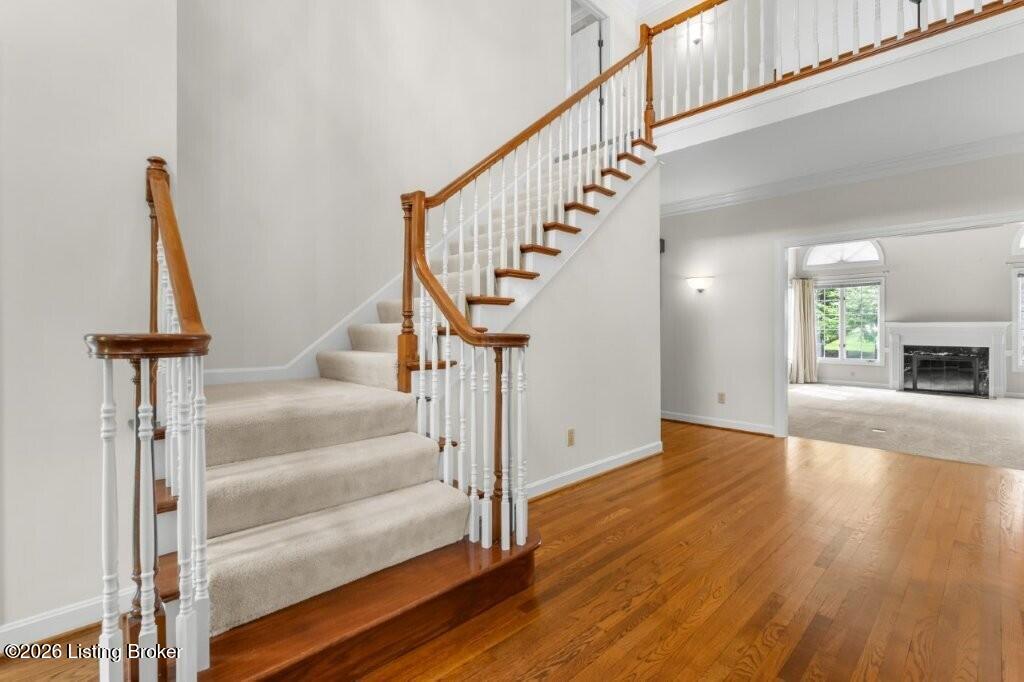 3616 Constantine Dr