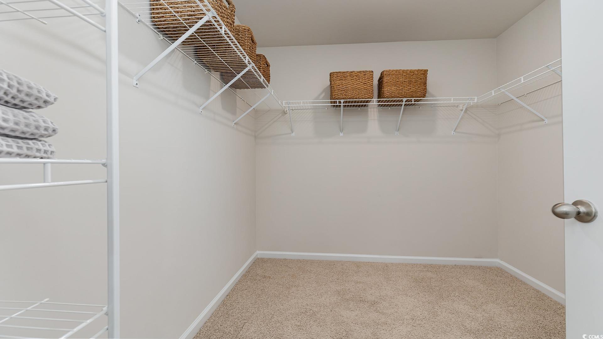 202 Red Buckeye Dr.