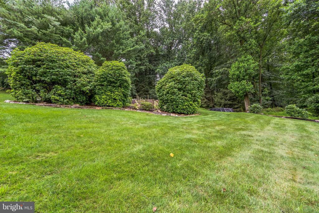 204 Hickory Dr