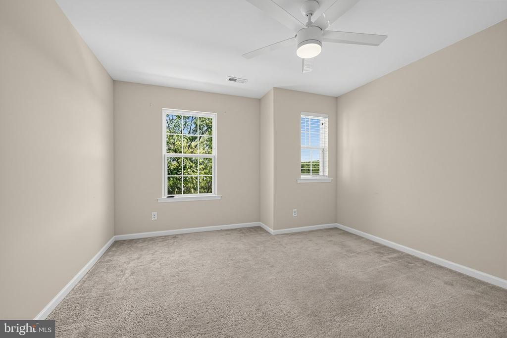Empty bedroom with beige carpet, two windows, and a white ceiling fan.