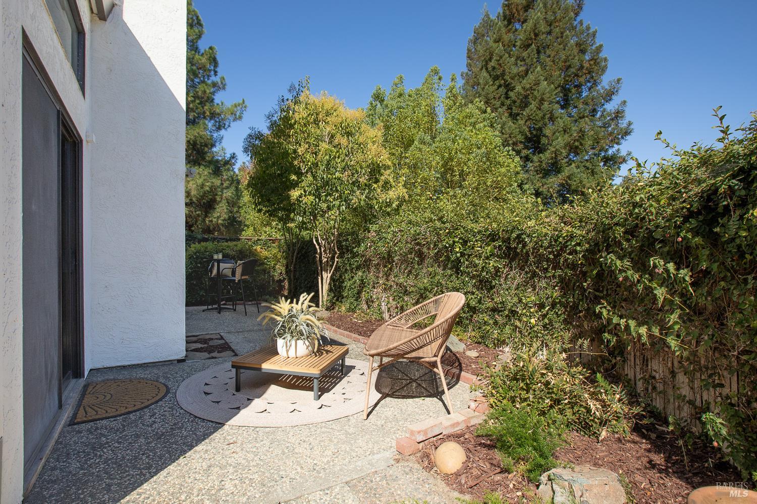 Side patio with a woven chair, potted plant, and tall privacy hedges