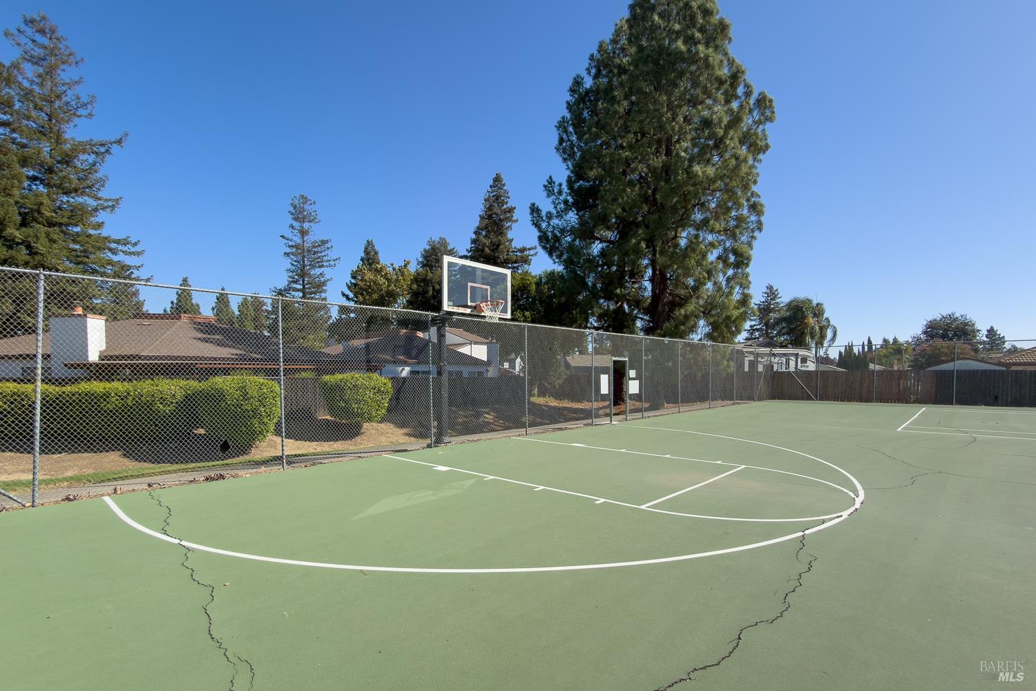 Fenced outdoor basketball court with a hoop, white markings, and cracks in the green surface.