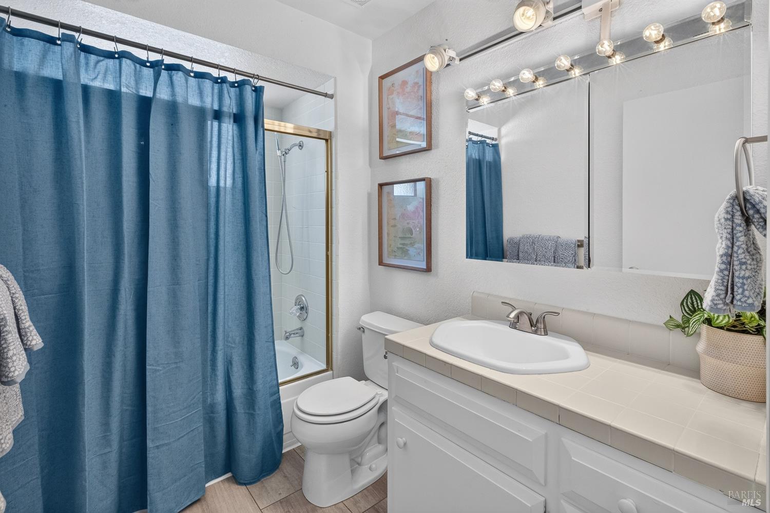 Bathroom with white vanity and mirror, toilet, and bathtub behind a blue shower curtain.