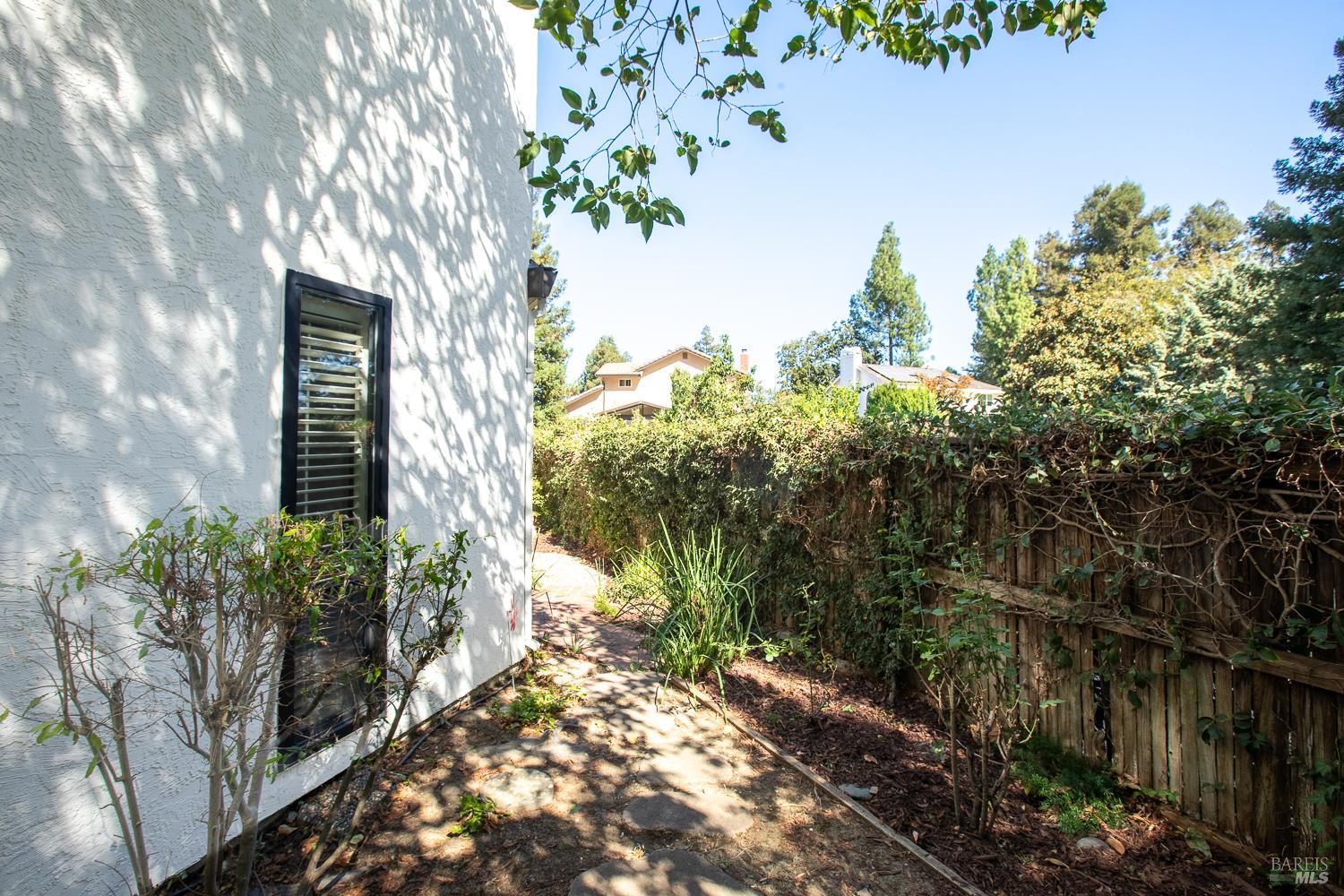 Home’s side yard with a paved path beside a white wall and hedge-covered fence.