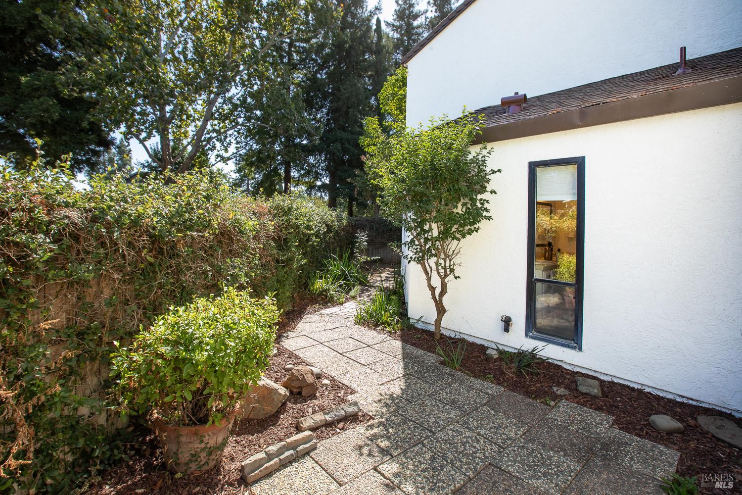 Paved side patio beside a white home, bordered by a hedge and mature trees.