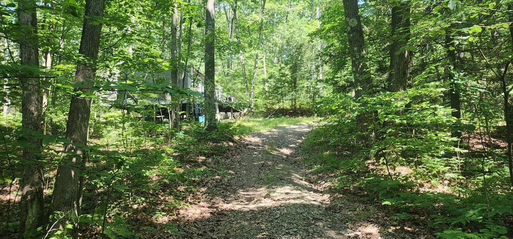 8078 Hickory Hill Road