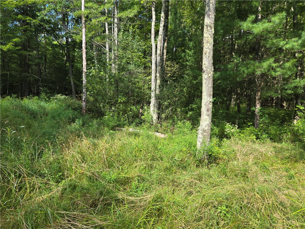 4175 Pre-emption Road