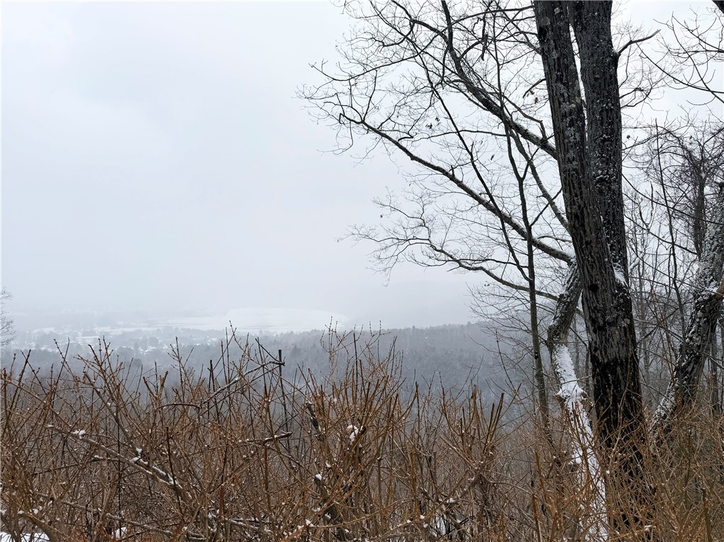 10712 B Skyline Drive B