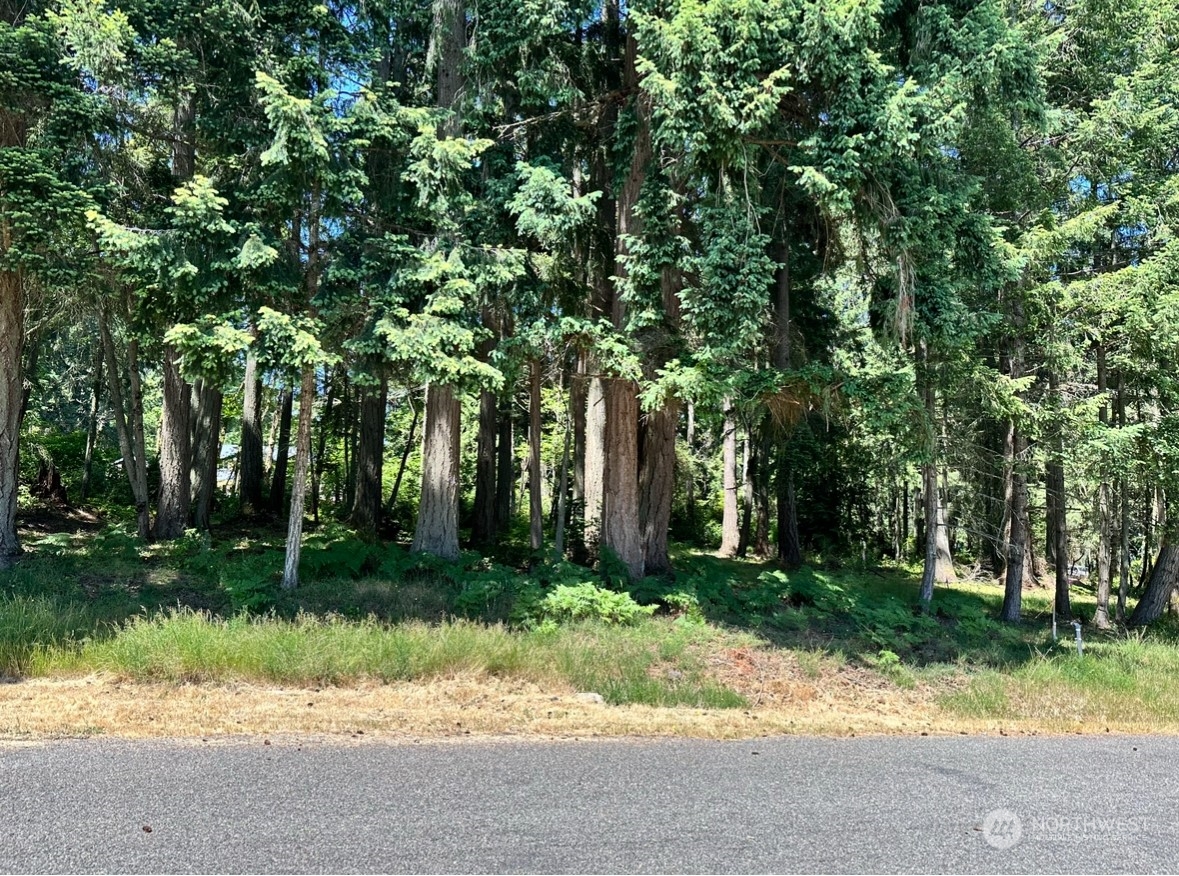 10220 10224 Totem Way