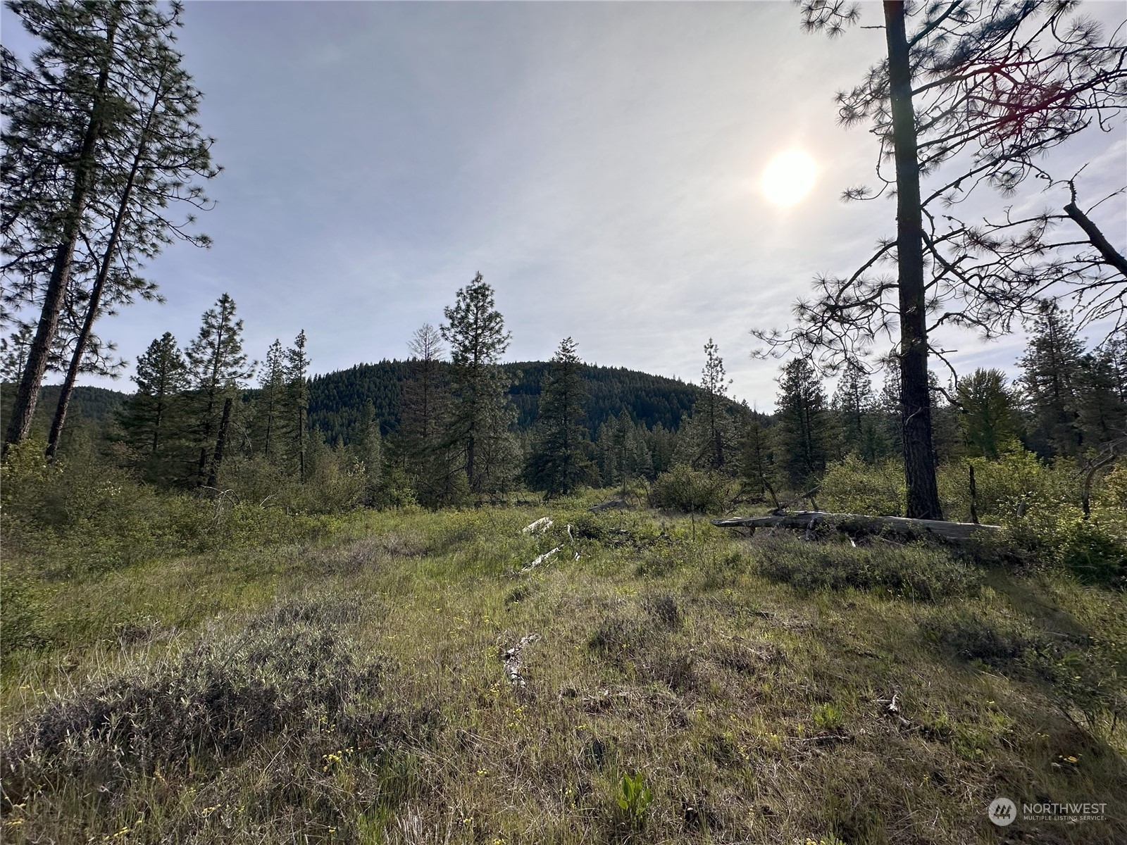 1111 nna Spring Creek Road