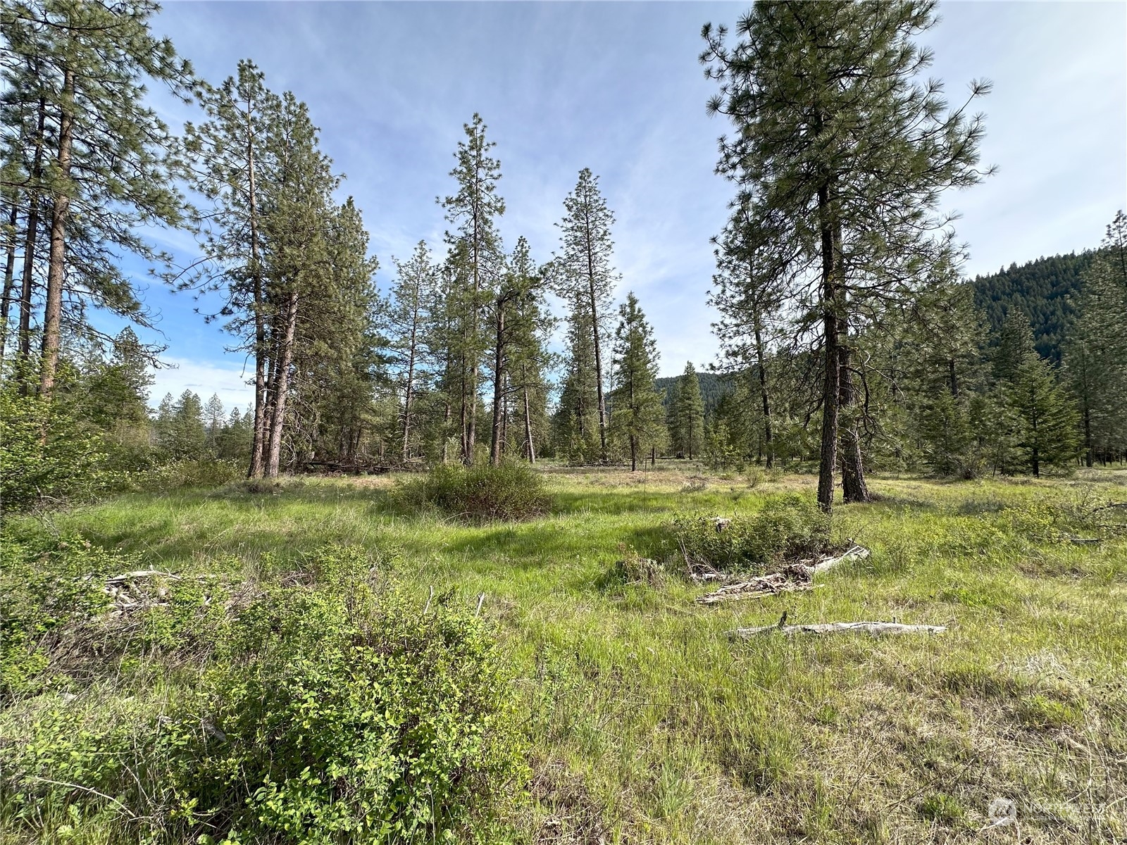 1111 nna Spring Creek Road