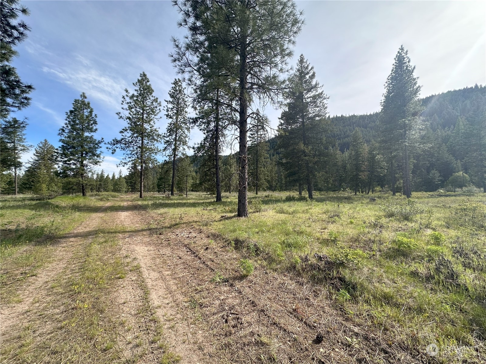 1111 nna Spring Creek Road
