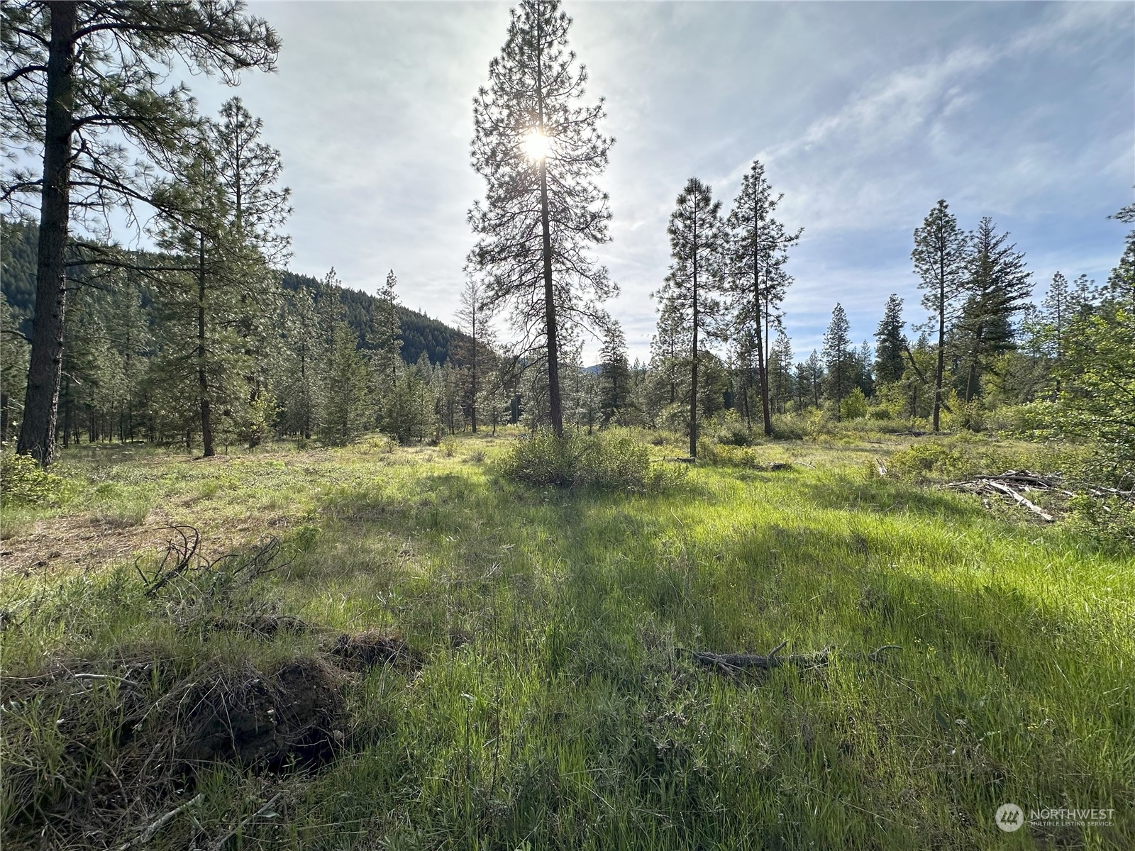 1111 nna Spring Creek Road