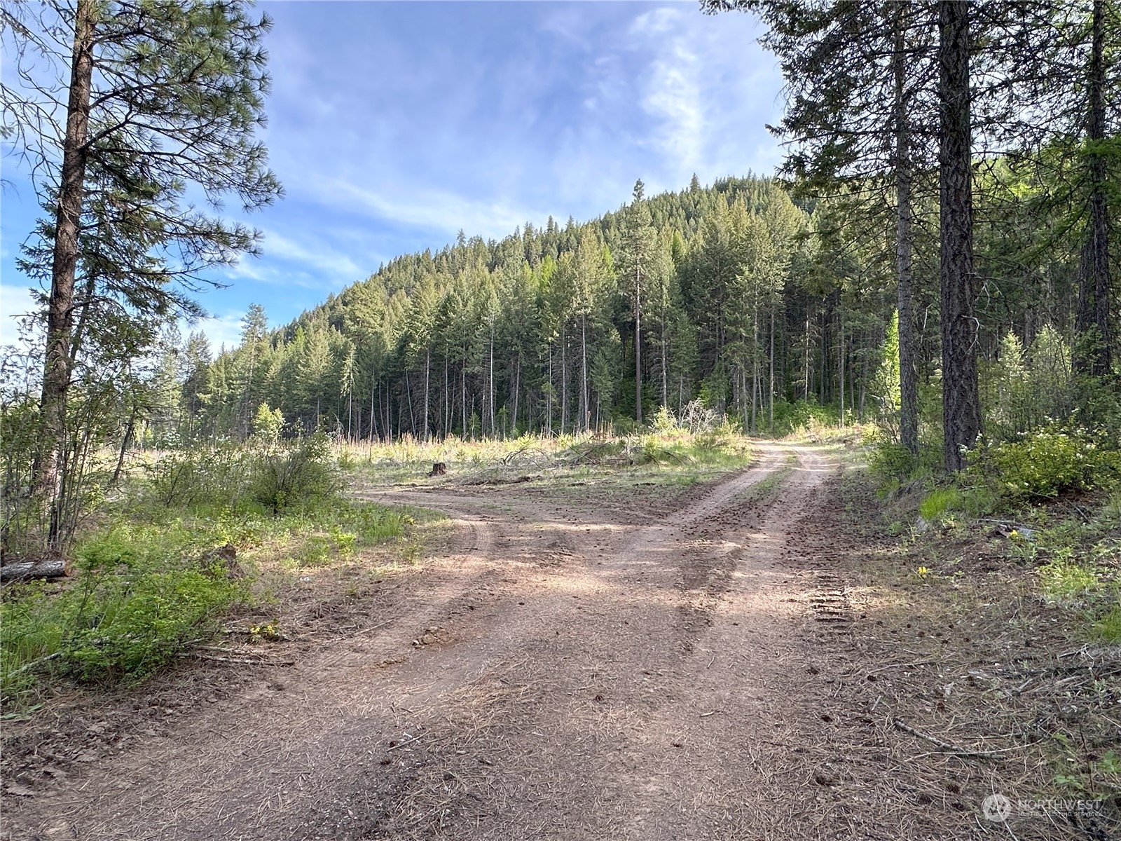 1111 nna Spring Creek Road