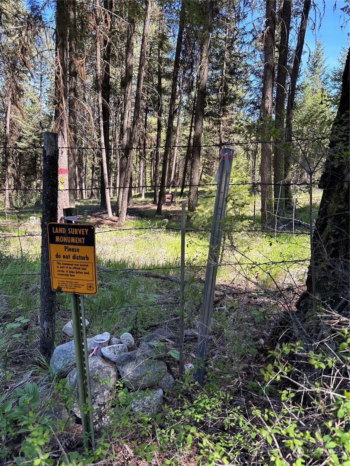 1111 tbd Forest Road