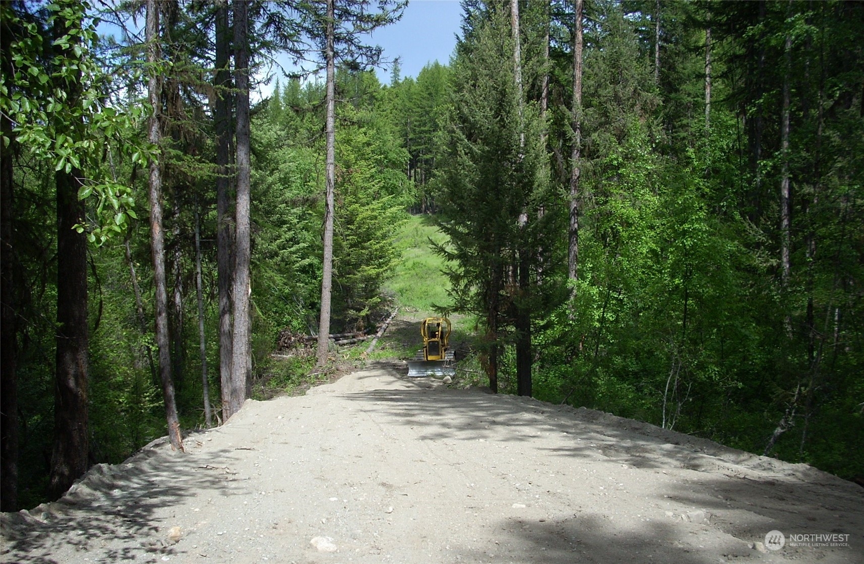1111 tbd Forest Road