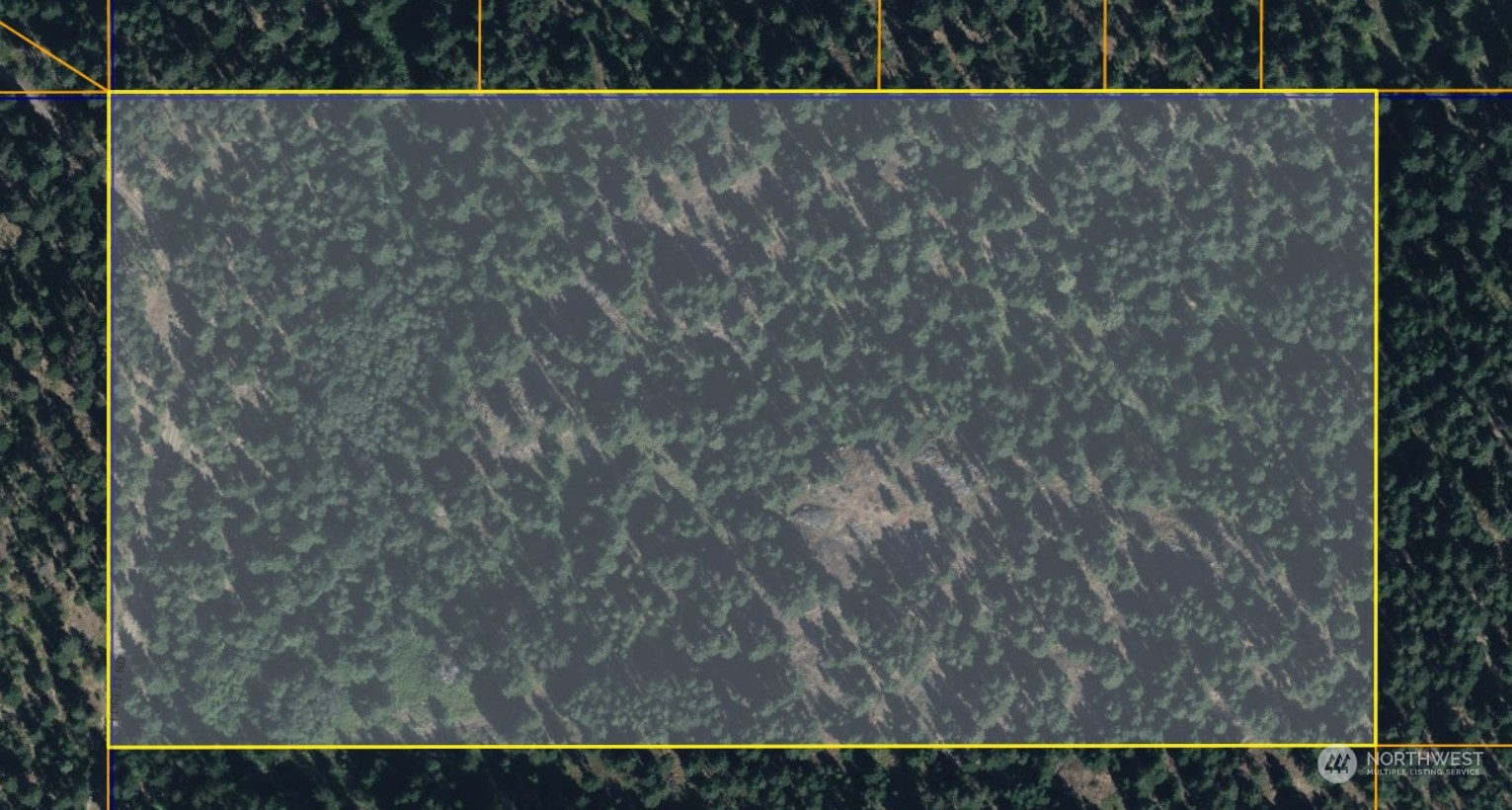 1111 tbd Forest Road