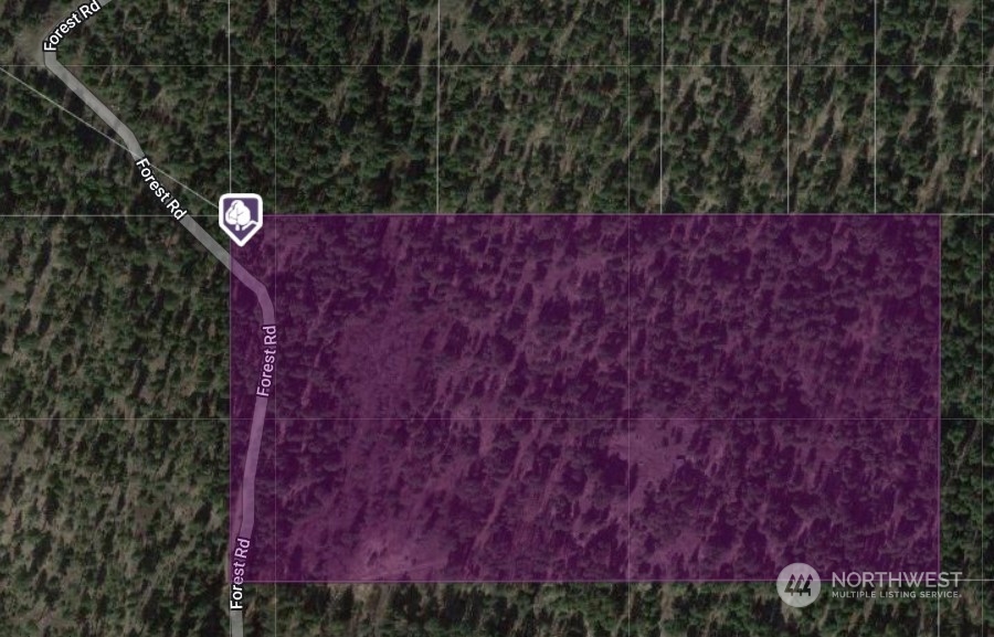 1111 tbd Forest Road