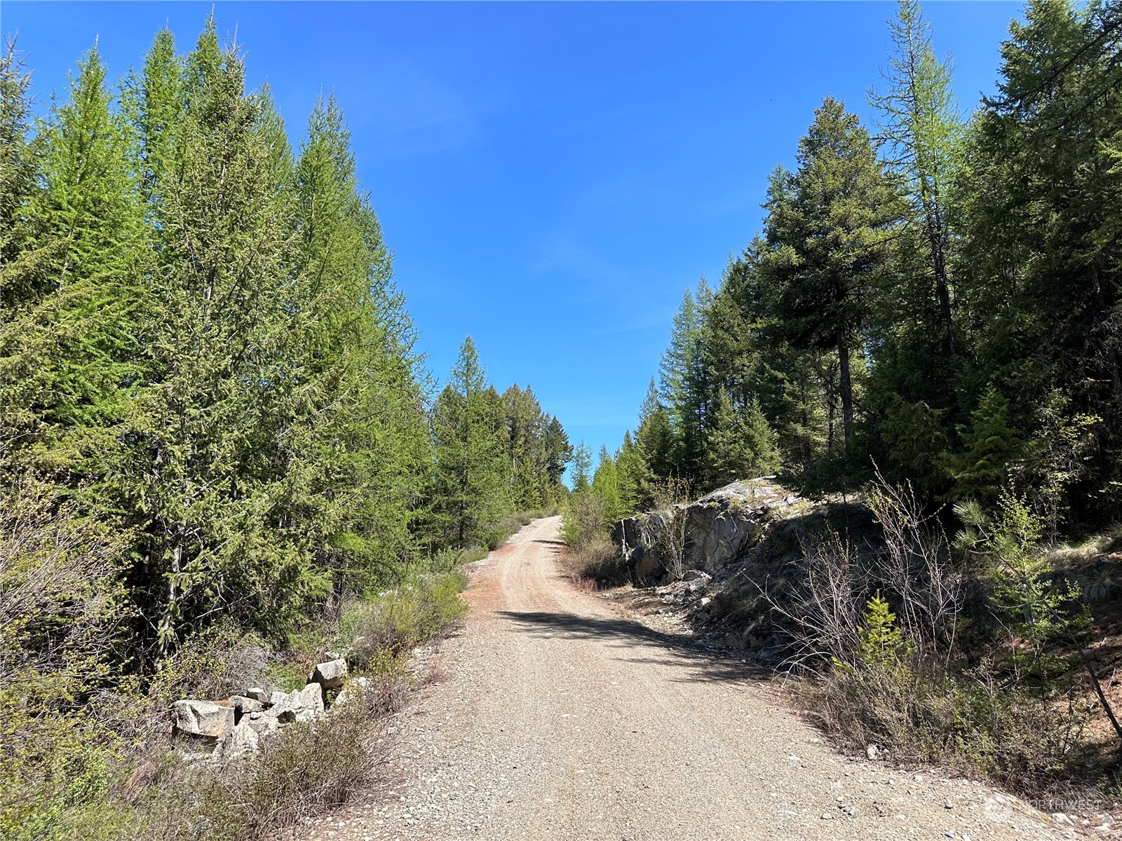 1111 tbd Forest Road