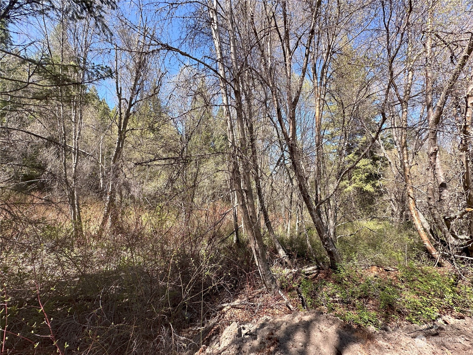 1111 tbd Forest Road