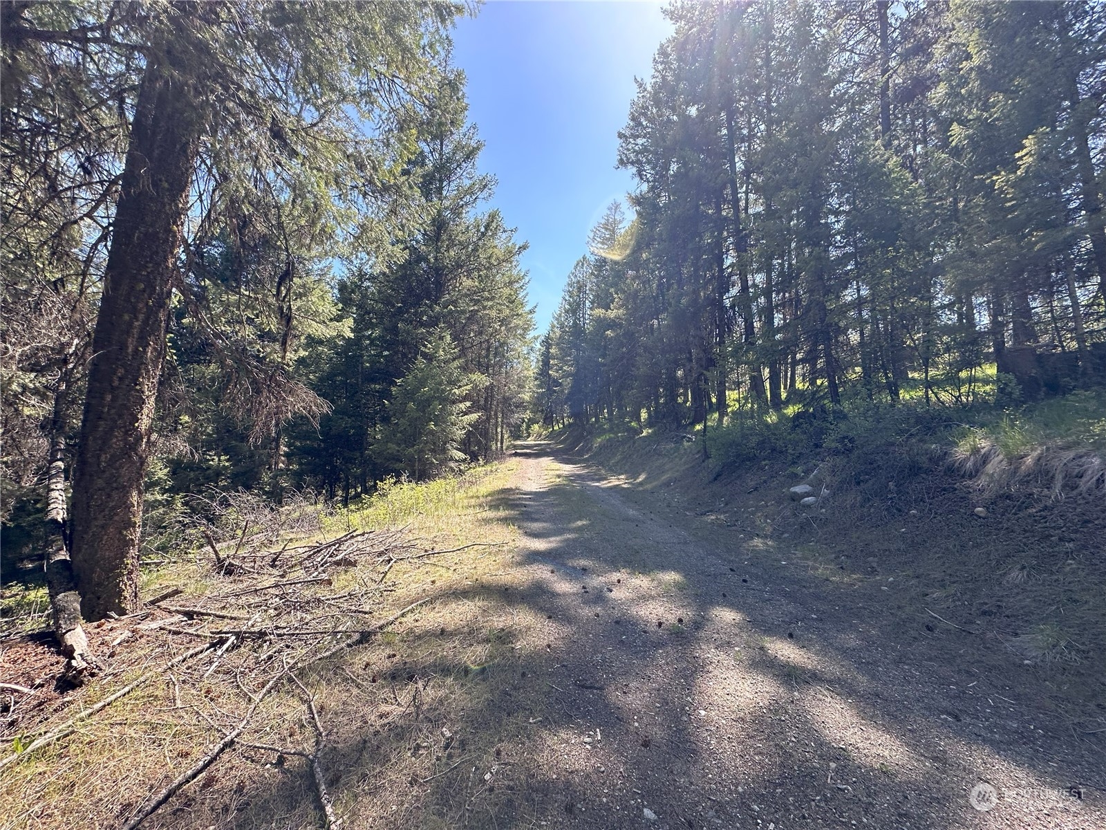 1111 tbd Forest Road
