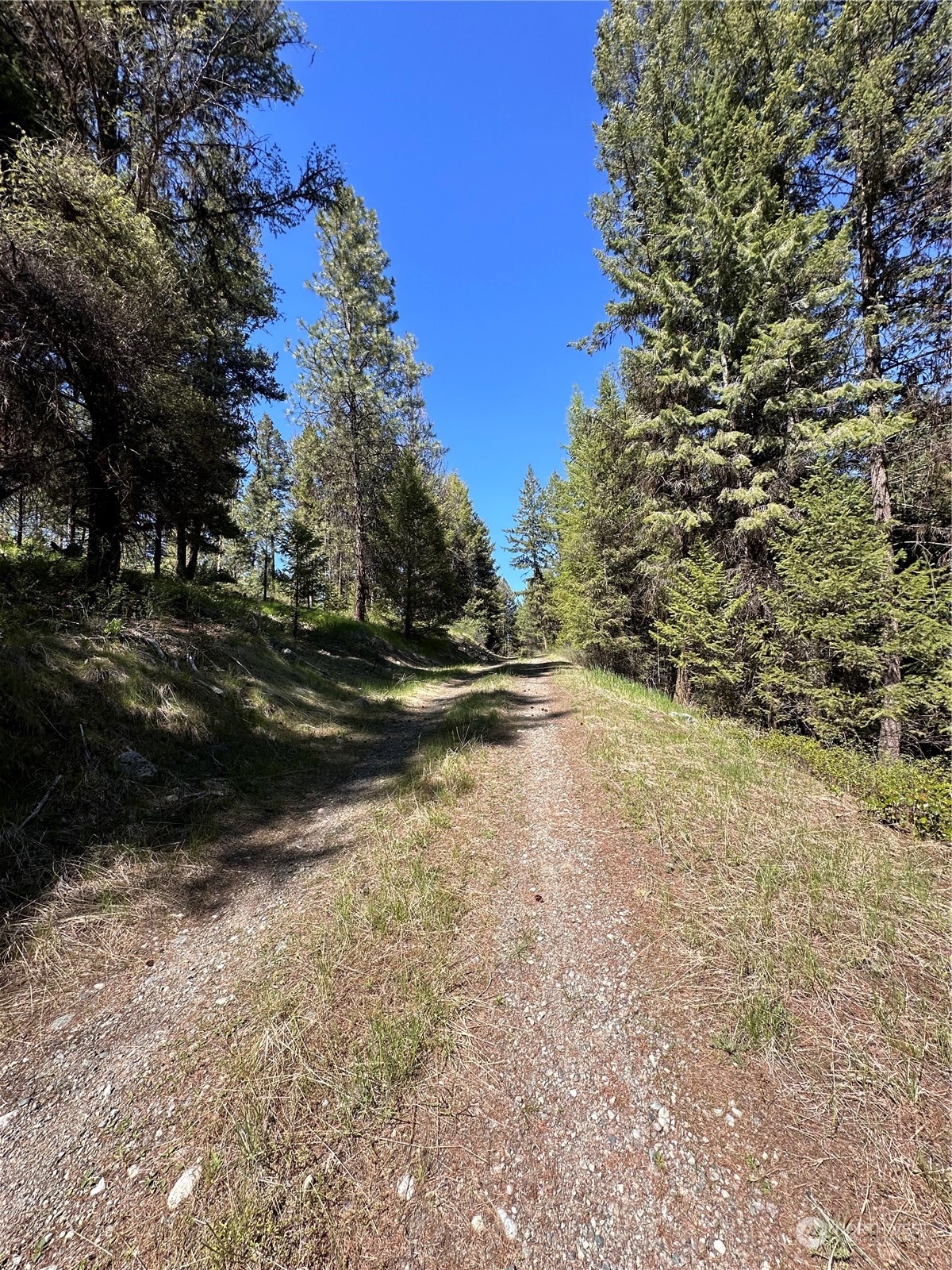 1111 tbd Forest Road