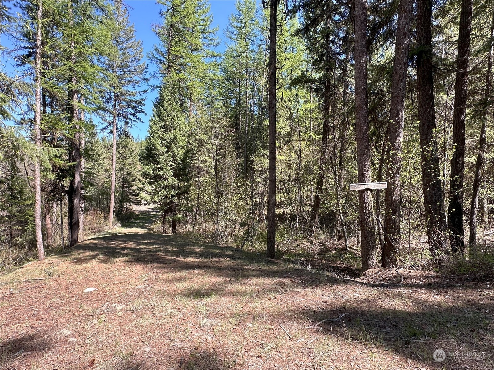 1111 tbd Forest Road