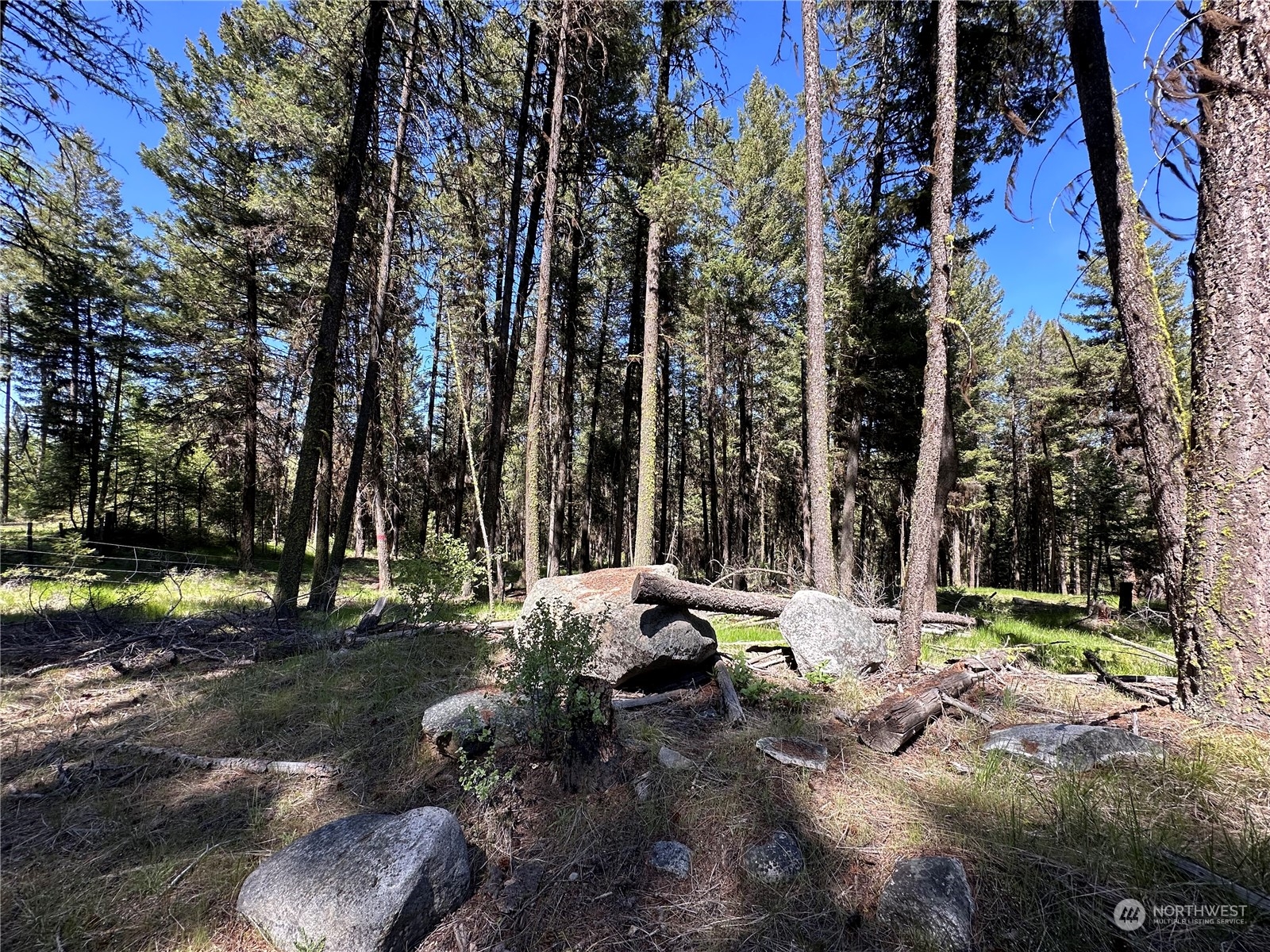 1111 tbd Forest Road