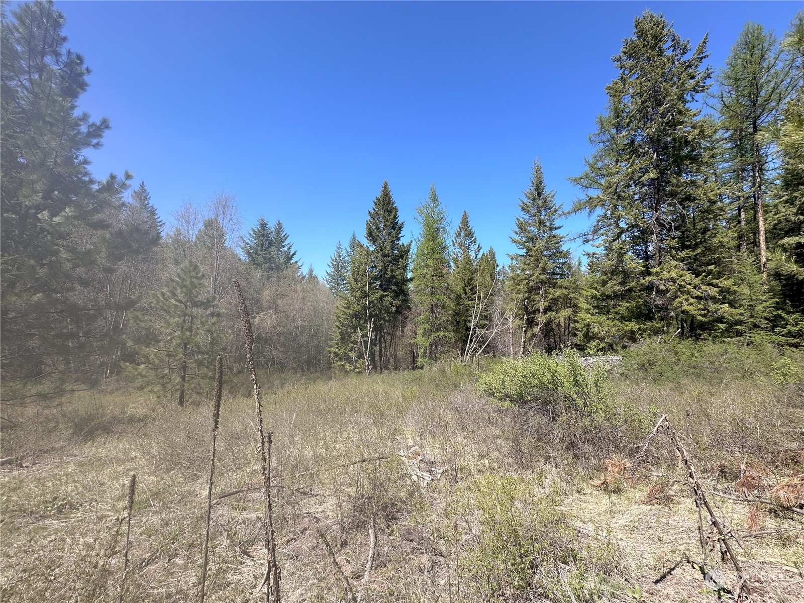 1111 tbd Forest Road