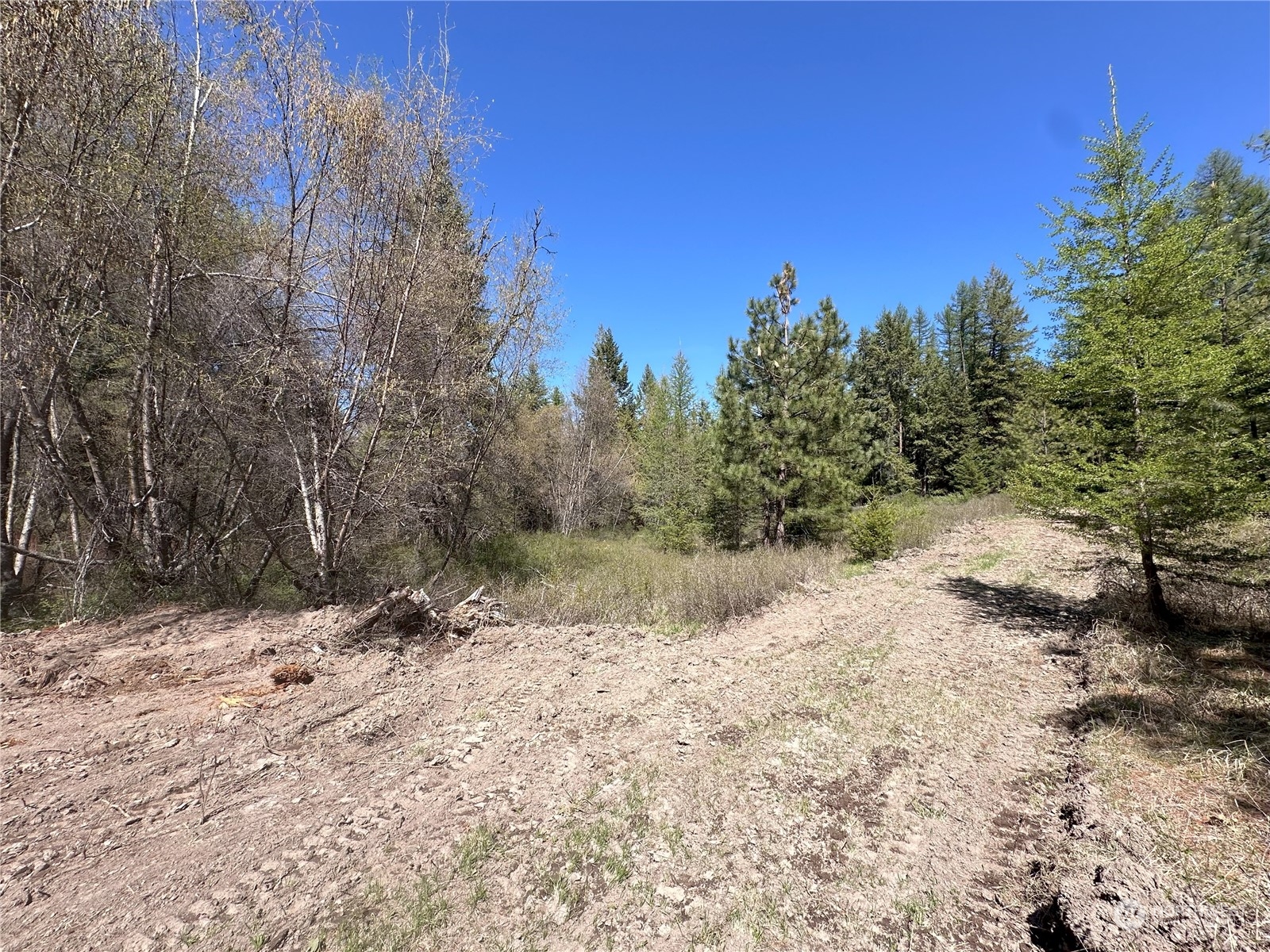 1111 tbd Forest Road