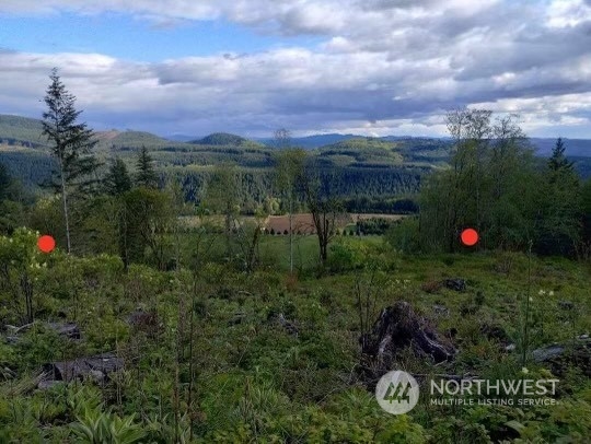 4267 WA State Route 508