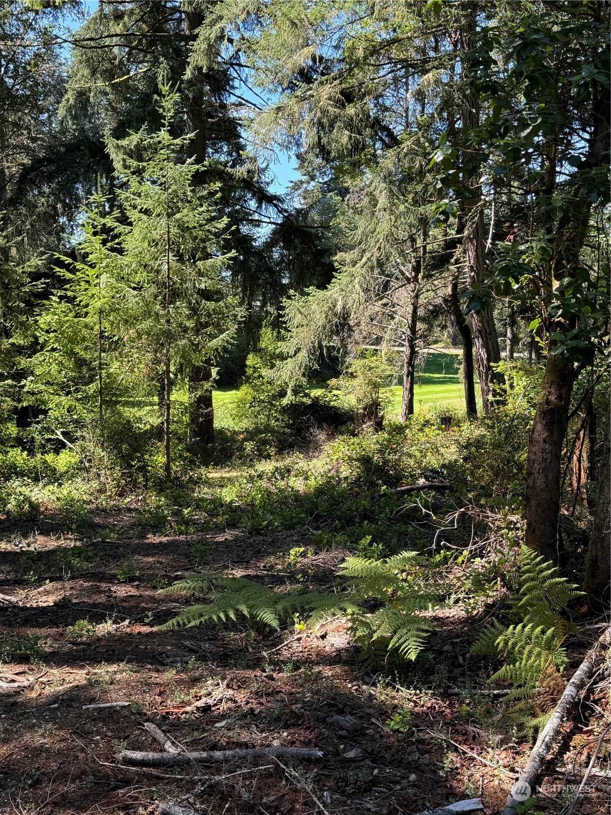 12014 Country Club Drive