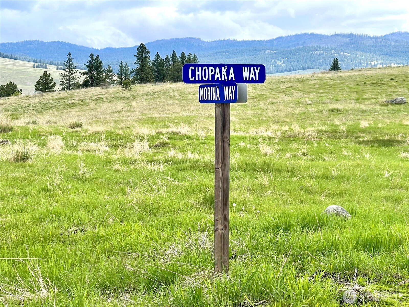0 XY Chopaka Way