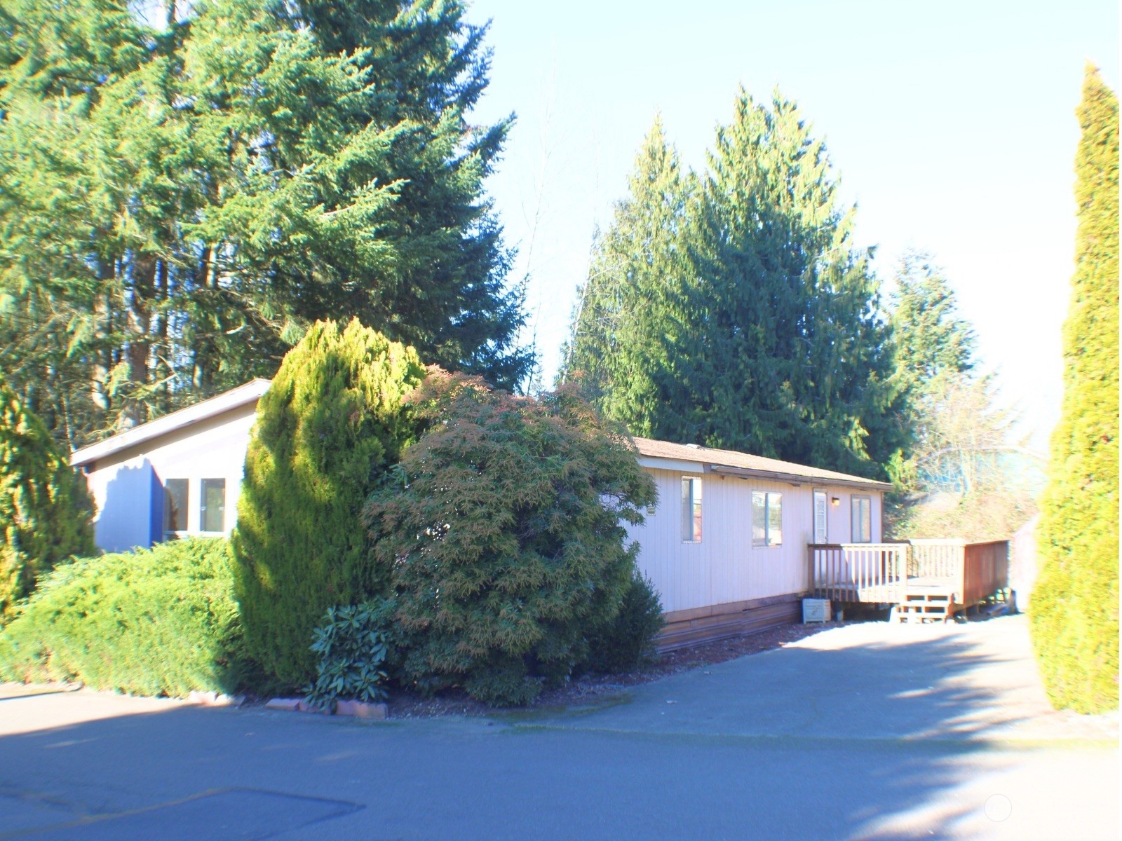 12101 126th Street Ct E Unit: 1