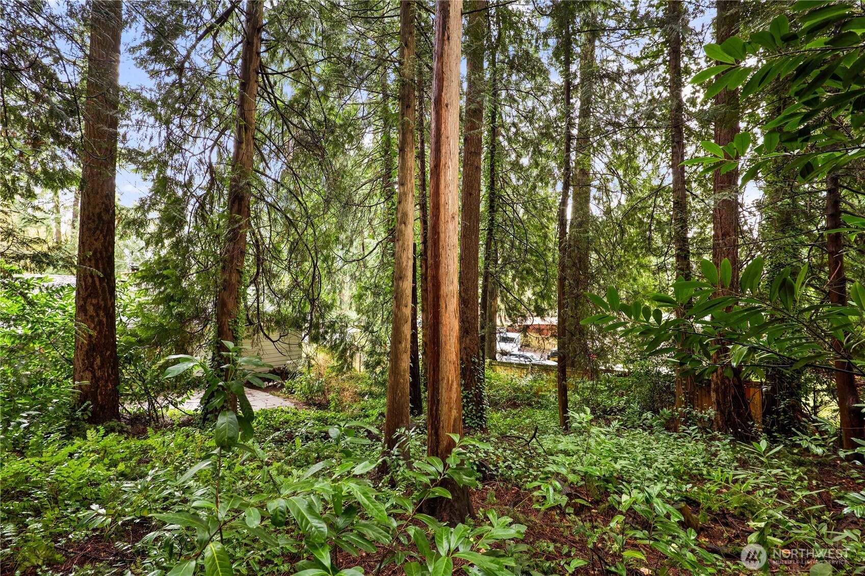 13427 Redmond Way