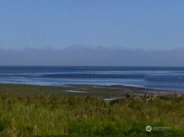 0 XY Willapa Bay