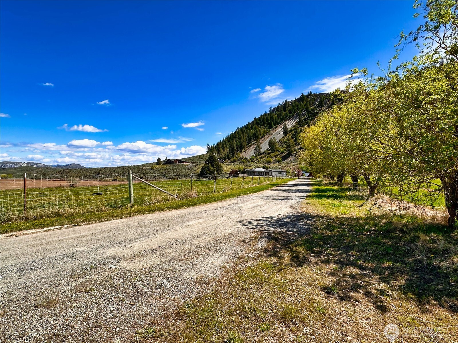 1906 N Pine Creek Road