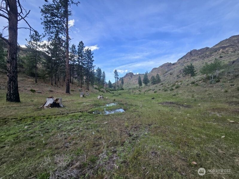 0 XY Salmon Creek Road