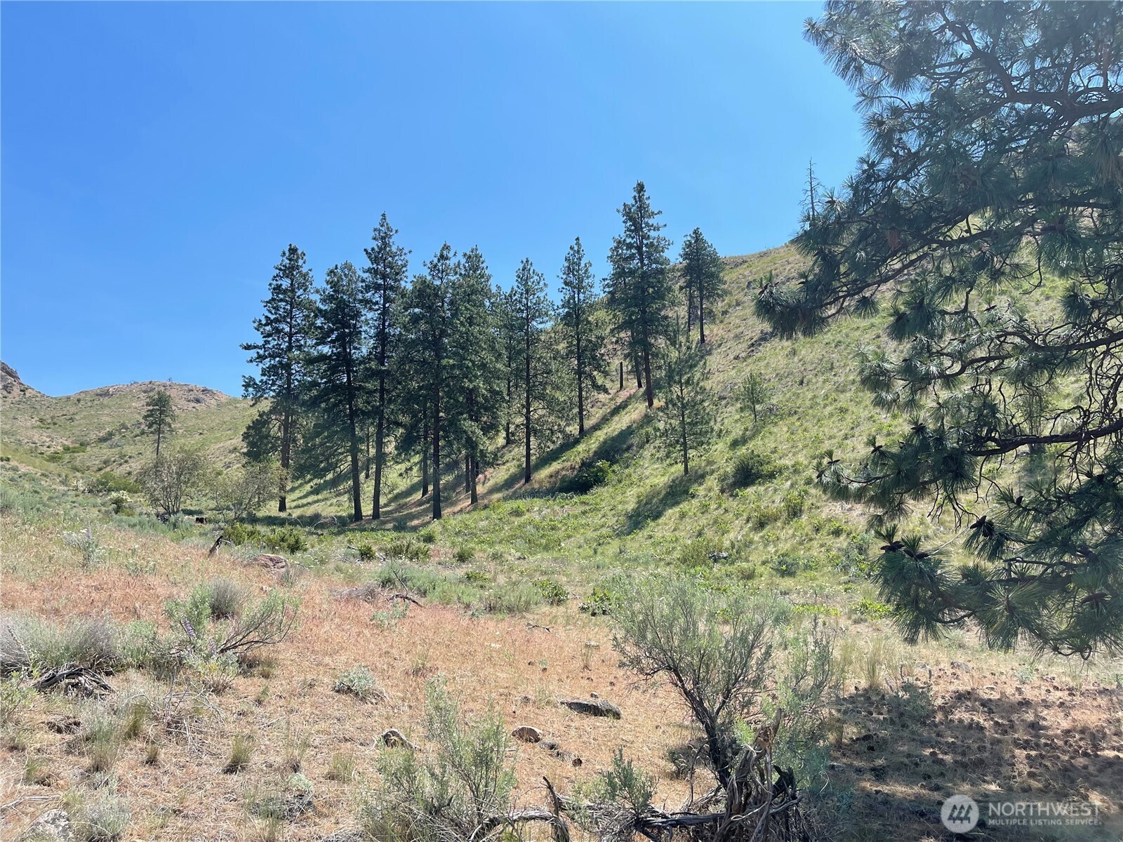 0 XY Salmon Creek Road