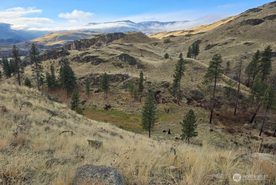 0 XY Salmon Creek Road