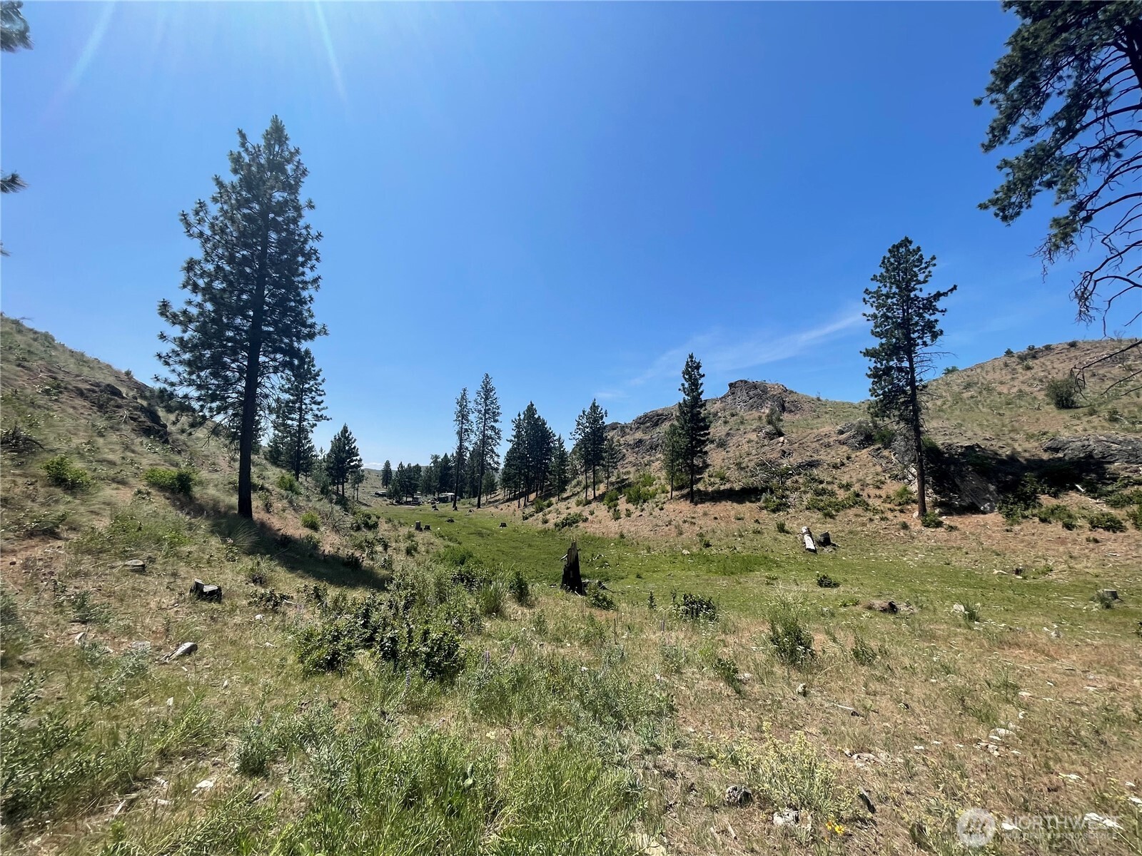 0 XY Salmon Creek Road